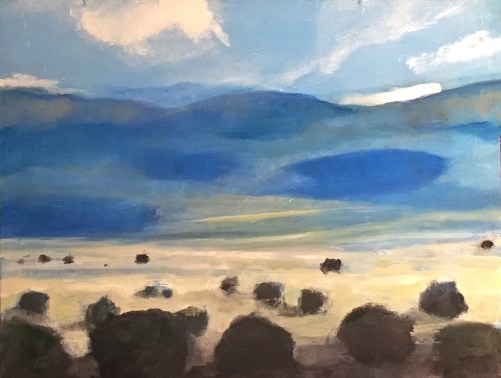 Plains of San Agustin